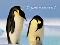 Международный день семьи