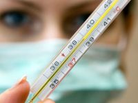 Что такое грипп и какова его опасность?